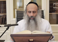 Rabbi Yossef Shubeli - lectures - torah lesson - 2 Min Breslev - Ki Teze : Friday 74 - Parashat Ki Teze, Vorts, Two Minutes of Breslev, Rabbi Yossef Shubeli, Weekly Parasha, Breslov, Rabbi Nachman, Rabbi Natan