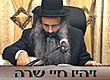 Rabbi Yossef Shubeli - lectures - torah lesson - sunday night, parashat chayei sarah, And the life of Sarah, 2010. - parshat chayie sarah, life of Sarah, strenghth