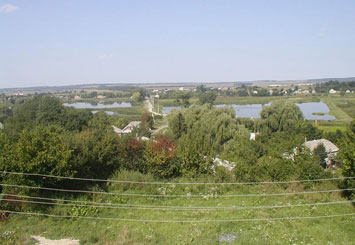 Mezibuz