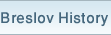 Breslov history
