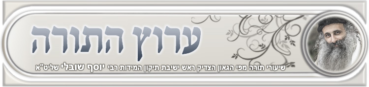 ������ ���� - ���� - ������ ���� ������ - ������ ���� �����